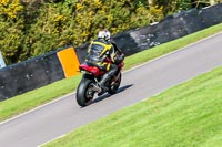 Oulton-Park-20th-March-2020;PJ-Motorsport-Photography-2020;anglesey;brands-hatch;cadwell-park;croft;donington-park;enduro-digital-images;event-digital-images;eventdigitalimages;mallory;no-limits;oulton-park;peter-wileman-photography;racing-digital-images;silverstone;snetterton;trackday-digital-images;trackday-photos;vmcc-banbury-run;welsh-2-day-enduro